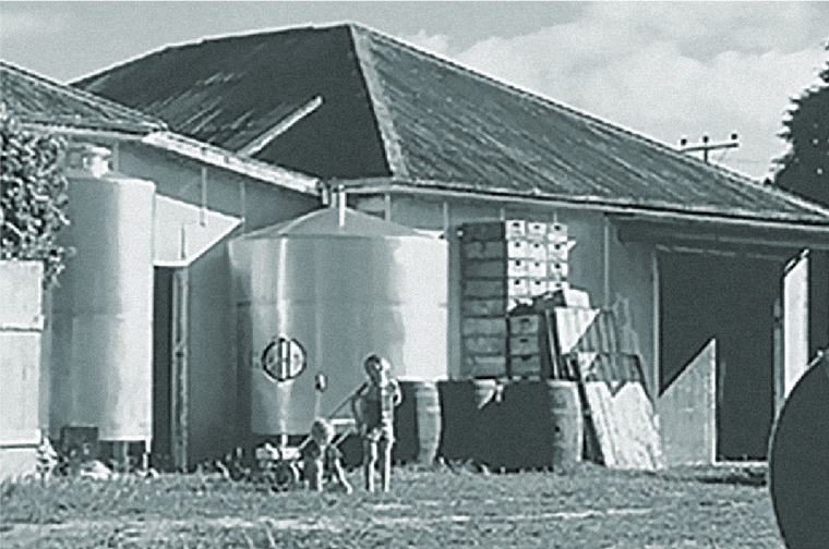 Matua’s original winery